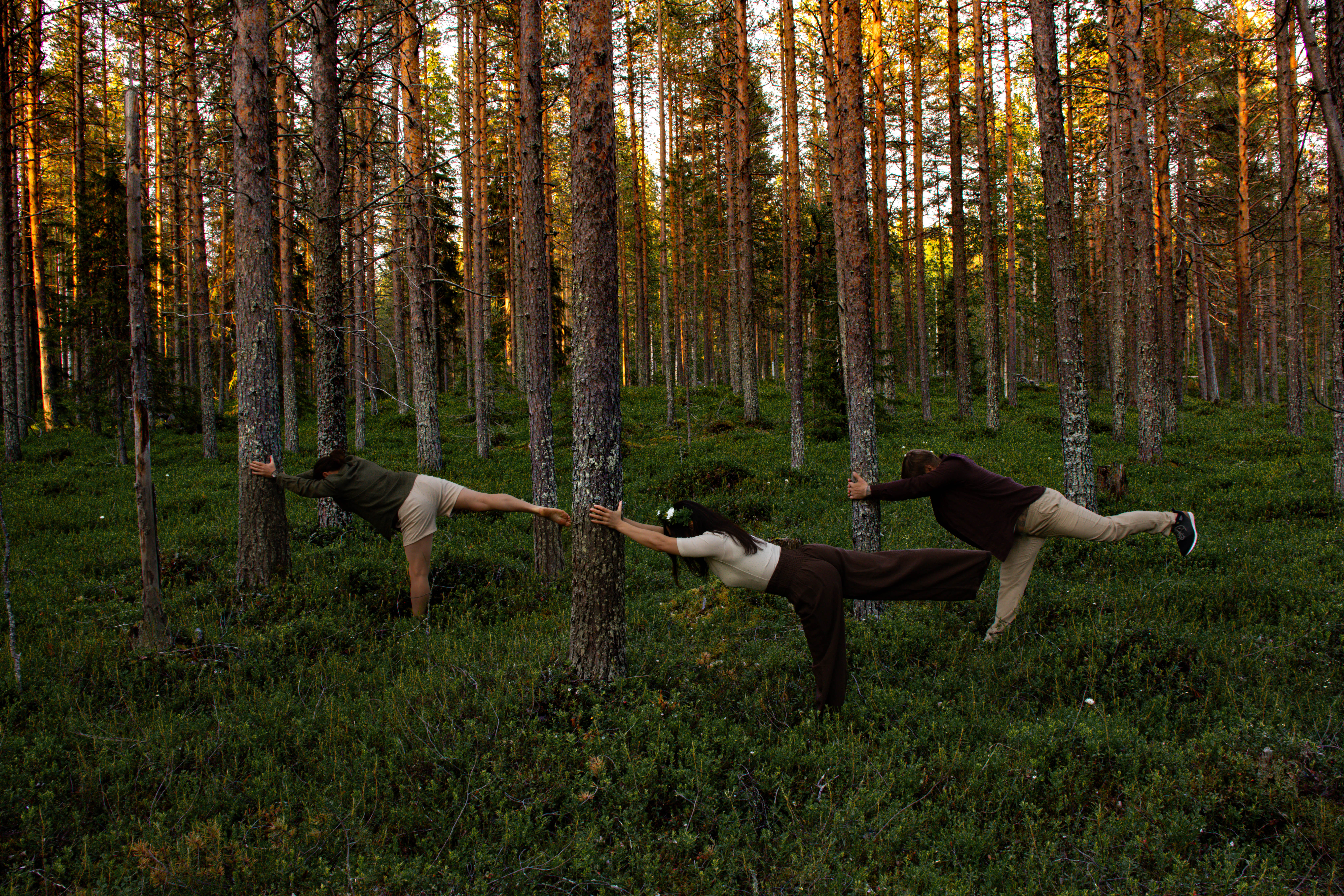 Nordic wellness experience at Skýra Retreat in Lapland, combining spa rituals, mindful practices and design-led calm